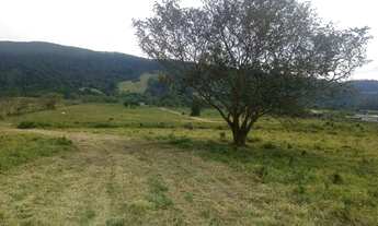 Imagem 4: Terrenos 20 de frente 50 de fundo