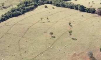 Imagem 2: Fazenda Região de Campo Florido