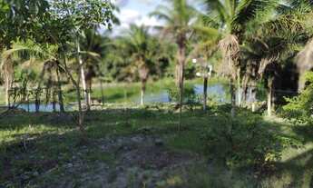 Imagem 3: Sitio Chácara com venda por R$260.000