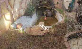 Imagem 3: Casa com 3 dormitórios para alugar por R$ 6.300/mês - Jardim América - Goiânia/GO