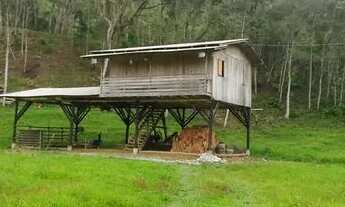 Imagem 5: SÍTIO COM EXCELENTE METRAGEM NO CATÉS EM CAMBORIÚ