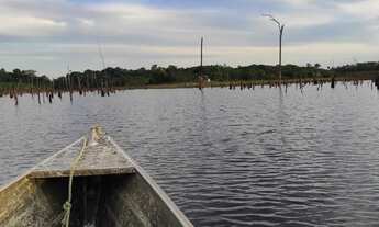 Imagem 5: Sítio na comunidade boa União depois de presidente Figueiredo