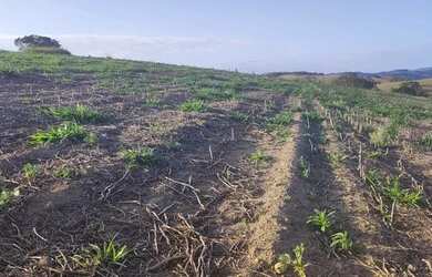 Imagem 2: 48AN-1SFMDU0 Terreno / lote com venda por R$90.000