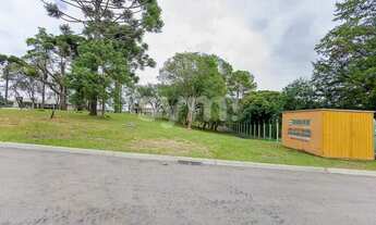 Imagem 3: CURITIBA - Terreno Padrão - Campo Comprido