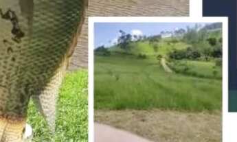 Imagem: Terrenos para venda, 500 metros quadrados