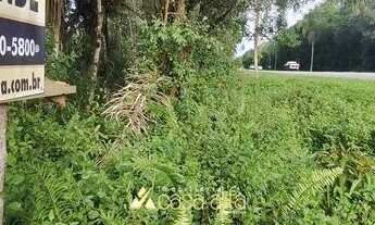 Imagem 4: Terreno 5000 mil metros de frente para Rodovia 407