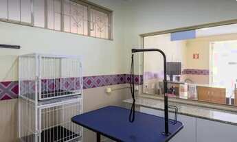 Imagem: Banho e Tosa aluga-se espaço completo