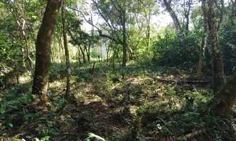 Imagem 3: Lote a venda com 181 m², em Itanhaém/SP