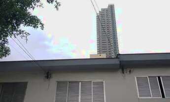 Imagem 6: São Paulo - Casa Padrão - Tatuapé