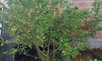 Imagem 6: Casa com 2 dormitórios para alugar, 70 m² por R$ 851/mês - Estância São José - Poços de Ca