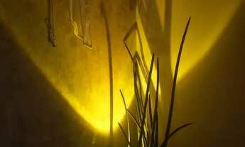 Imagem 4: Estudio Central Casa em condomínio com 1 dormitório