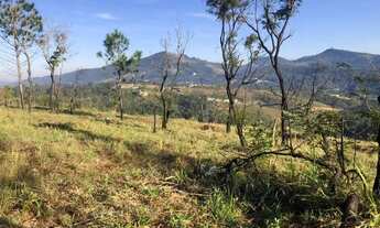 Imagem: Lote/Terreno para venda possui 1000 metros