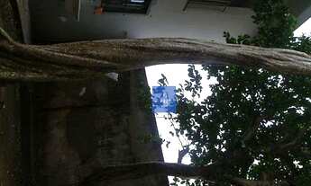 Imagem 2: Casa com 2 dormitórios, 90 m² - venda por R$ 2.500.000,00 ou aluguel por R$ 1.700,00 - Vil