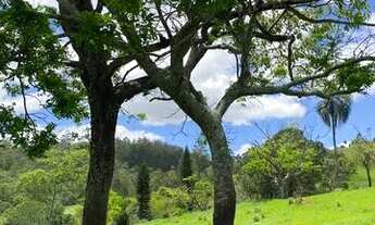Imagem 2: Terreno com ótimas topografias