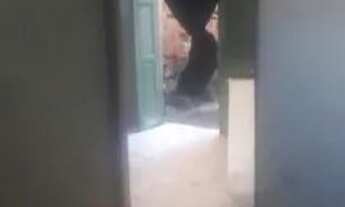 Imagem 2: ALUGUEL DE CASA PARA OS 3 DIAS DO SÃO PEDRO DE CAPELA