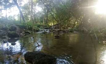 Imagem 7: Chácara em Santa Rosa 9 9 8 0 3 8 3 7 6