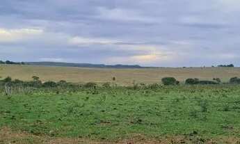 Imagem 7: FAZENDA 1060 HECTARES EM CORGUINHO/MS
