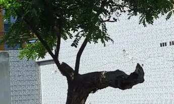 Imagem 4: Apartamento em Barra de Jangada