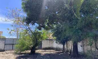 Imagem 6: Aluguel de Casa Solta em Pau Amarelo