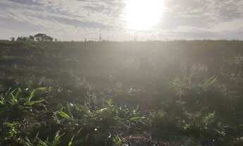 Imagem 8: 48AN-MQBI20 Terreno / lote com venda por R$90.000