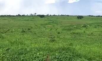 Imagem 3: Fazenda de 2.414 alqueires em Flores Goias