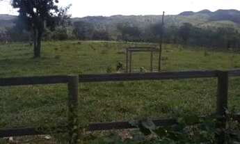 Imagem 2: Fazenda muito próxima a Brasília DF para criação de gado com 25 Alqueires (São