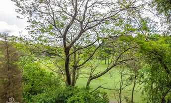 Imagem 5: PORTO ALEGRE - Apartamento Padrão - Passo da Areia