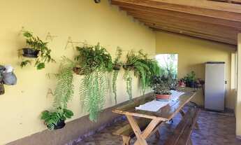 Imagem 7: Fazenda/Sítio/Chácara para venda tem 177 metros quadrados com 3 quartos