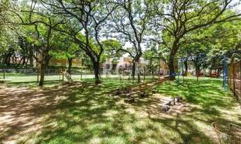 Imagem 3: Apartamento de 03 dormitórios, sala, cozinha, banheiro. Condomínio com salão de festas, p