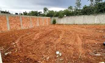 Imagem 3: Lote descida da água de coco