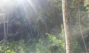 Imagem 2: Sitio Domingos Martins 100 mil