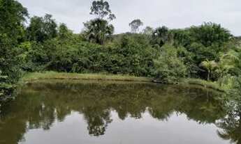 Imagem 7: Fazenda em Pedregulho SP com 50 alqueires a 120 o alqueire
