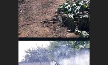 Imagem: Lote 250m2 PONTE ALTA NORTE