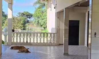 Imagem 7: Chácara a Venda 26.016 m² Col Figueiredo, Campo Largo / PR, 3km asfalto