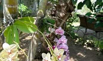 Imagem 5: Chácara com área privativa de 1050m²; Casa de 100m²; Piscina; Área gourmet e muitas benfei