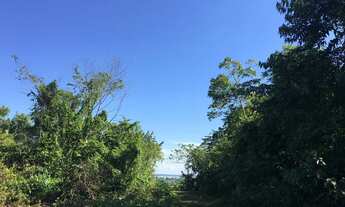 Imagem 6: Terreno escriturado Manacapuru no vale verde 2