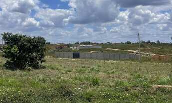 Imagem 6: Oportunidade - Terreno 28x20 já murado com portão