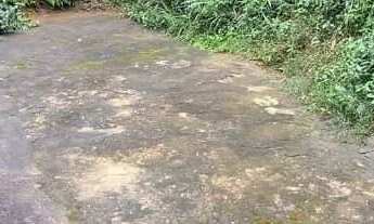 Imagem 6: Vendo Casa Casa com 2 dormitórios