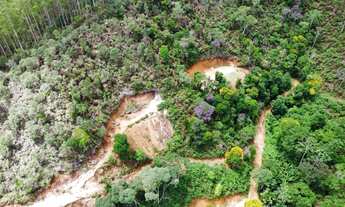 Imagem 6: Sítio para venda possui 96.800 M2, em São Bento de Urania - Alfredo Chaves - ES