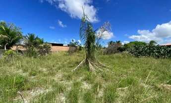 Imagem 3: Terreno próximo à rodovia - Massagueira -AL - 1297m2 - R$ 350 mil
