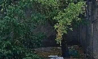 Imagem 7: Casa de praia Casa com 2 dormitórios