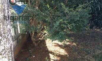 Imagem 5: ÁREA - JARDIM DA LUZ