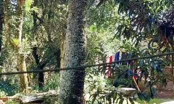 Imagem 3: Excelente terreno com bosque no bairro São Lourenço com 5.427 m2