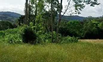 Imagem 5: Área de terra bairro Linha Imperial, Nova Petrópolis.RS Ref.:131