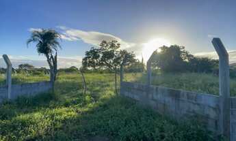 Imagem 3: Terreno plano, pronto para sítio ou chácara, há 900 metros da BR