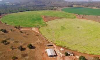 Imagem 5: Fazenda Recanto da Sucupira-Gleba 06 em Paracatu-MG - 125 Hectares R$ 12.000.000,00