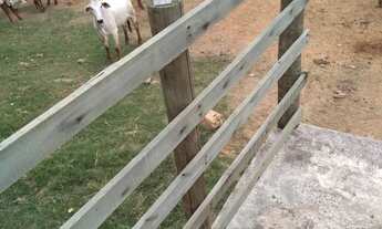 Imagem 2: Vanda se está fazenda de 62 alqueires no Município de Itaperuna/RJ