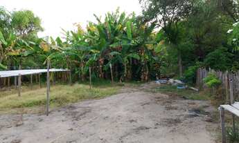 Imagem 2: CASA A VENDA Casa com 4 dormitórios