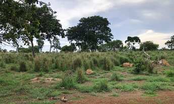 Imagem 6: FAZENDA NO TO/GO GRANDE OPORTUNIDADE