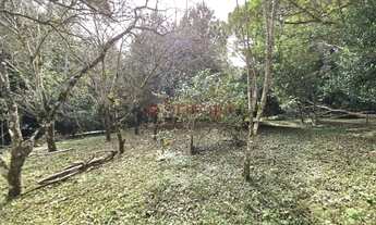 Imagem 5: Saraju Vende Terreno em chacara em São José Dos pinhais